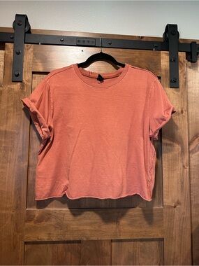 wild fable Cropped Boxy Tee in Rust